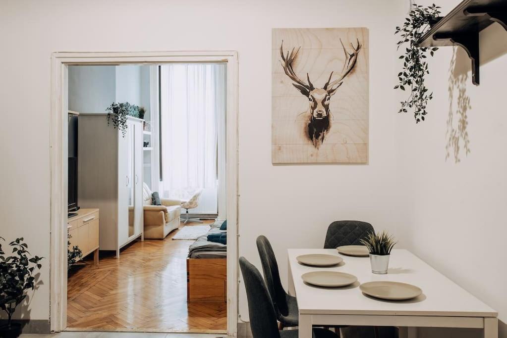 Big Apartment In The City Centre Βουδαπέστη Εξωτερικό φωτογραφία