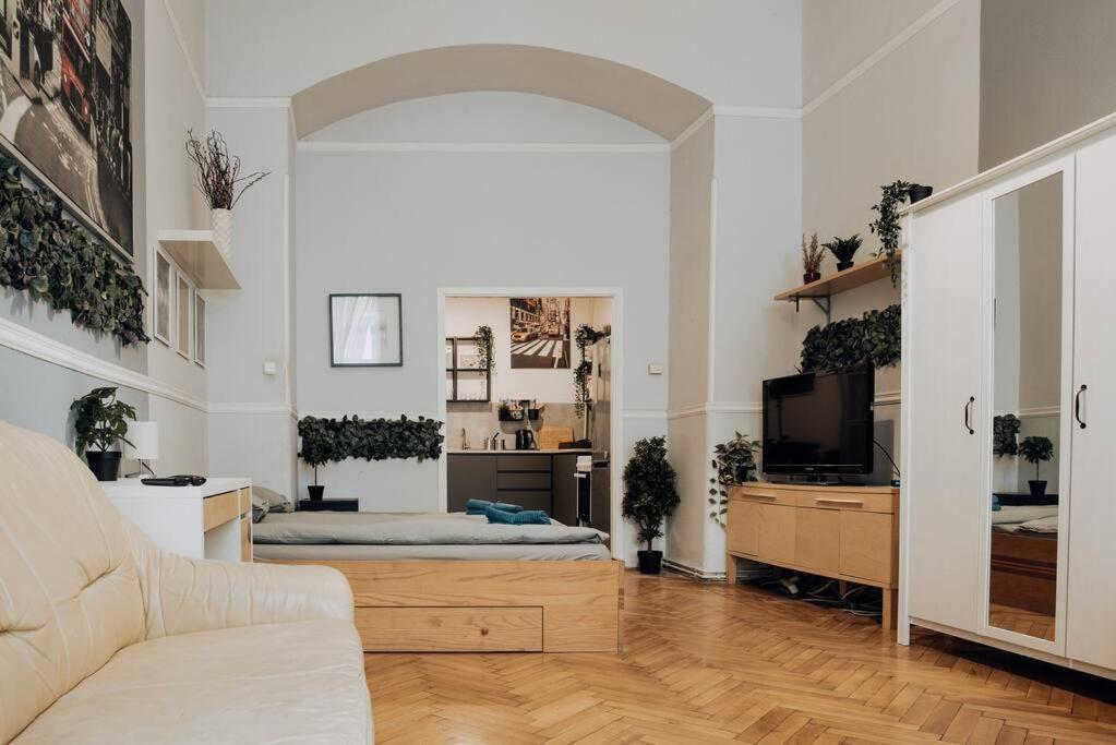 Big Apartment In The City Centre Βουδαπέστη Εξωτερικό φωτογραφία